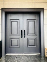Steel Double Entry Doors