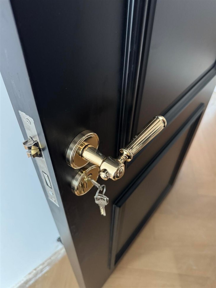 Solid Wood Back Door high quality